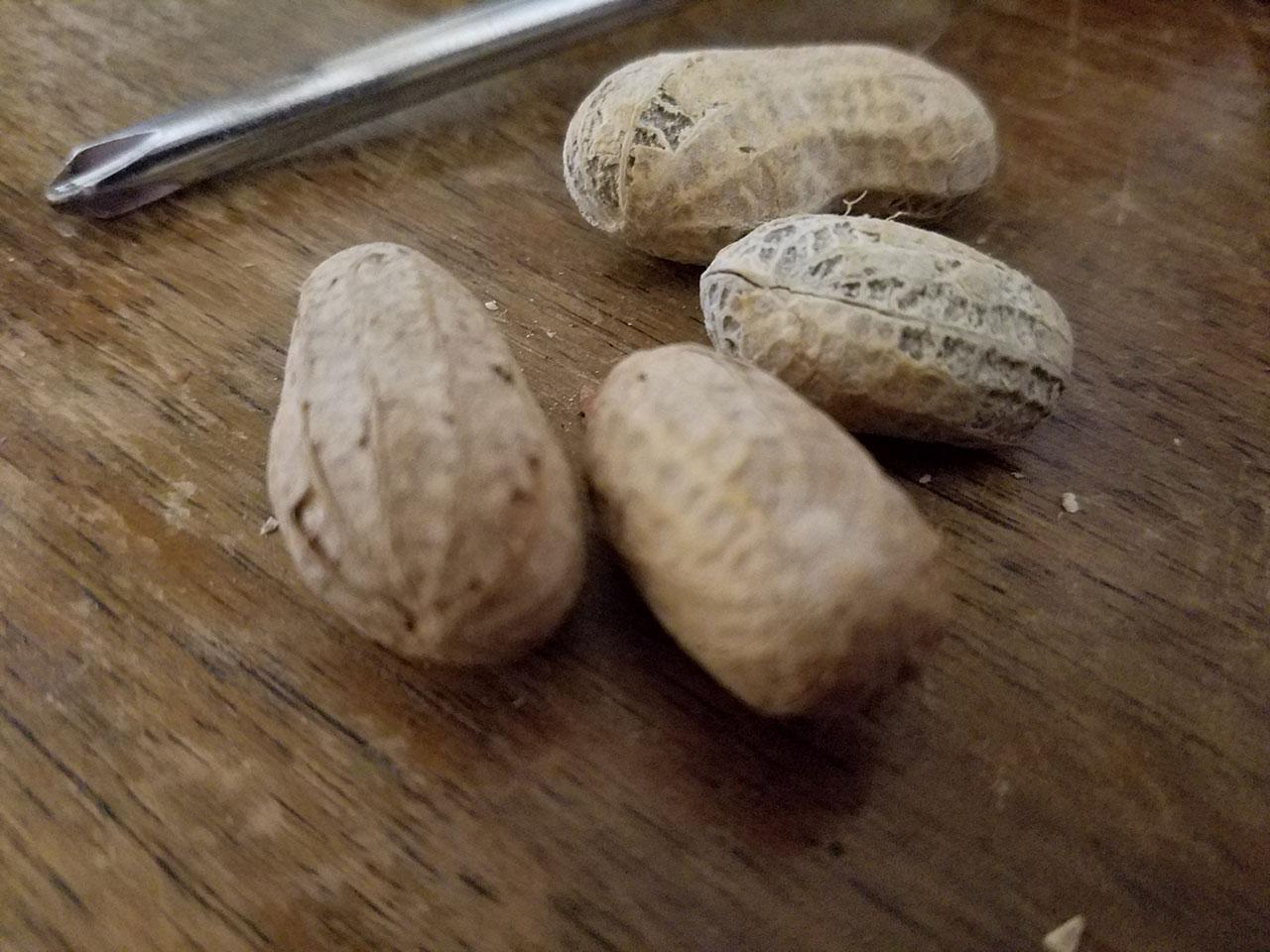 peanuts_galaxys7