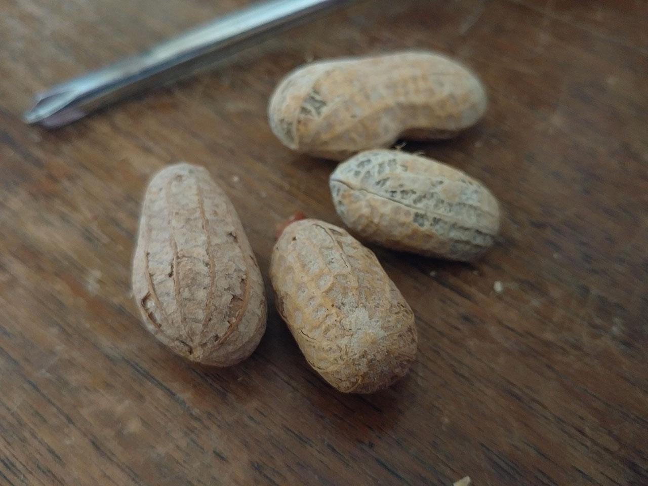 peanuts_lgg5