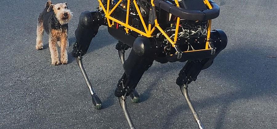 Real dog and Boston Dynamics Spot Robotic Dog aren’t Friends