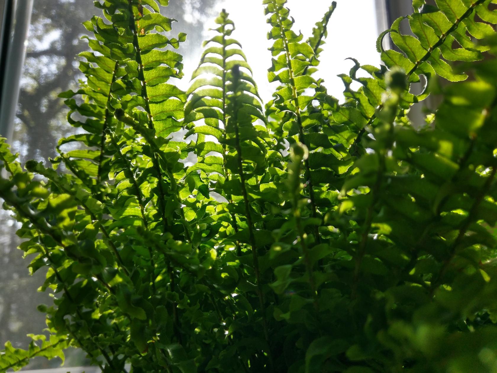 IMAG0010