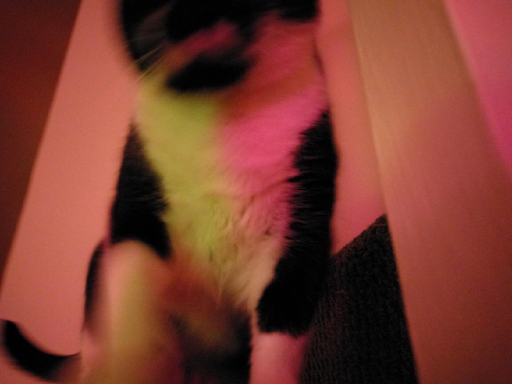 IMAG0050