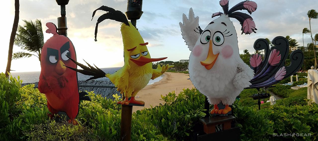 angrybirdies