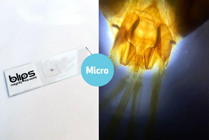 camera lens fits all smartphones Thin Blips macro and micro camera lenses