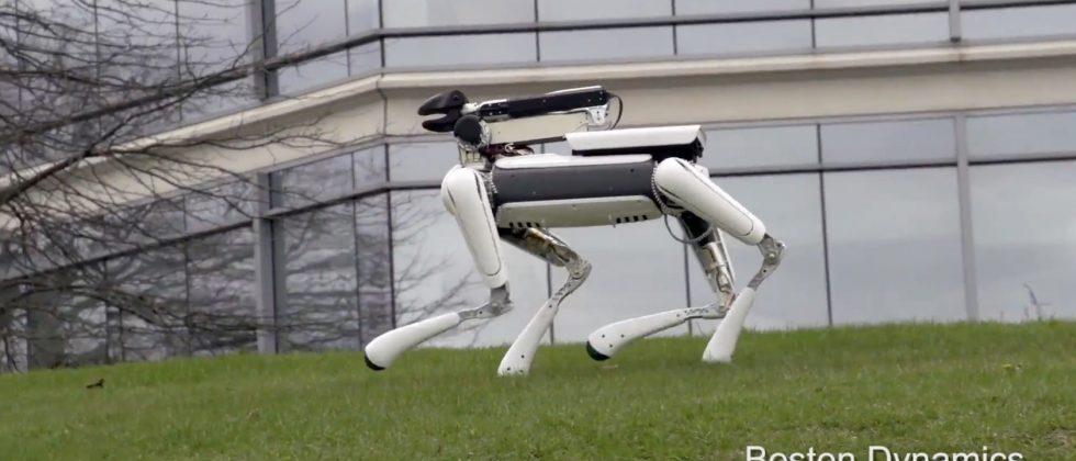 spot mini robot