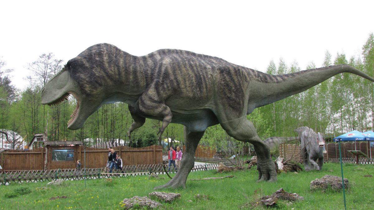 dinosaur tiny arms