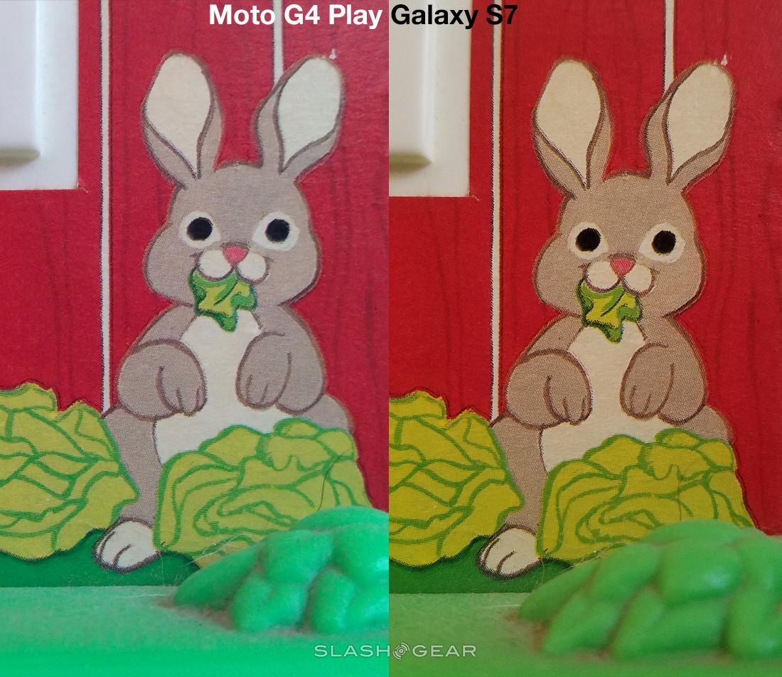 bunnies
