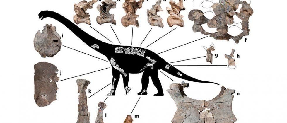savannasaurus