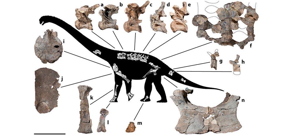 savannasaurus