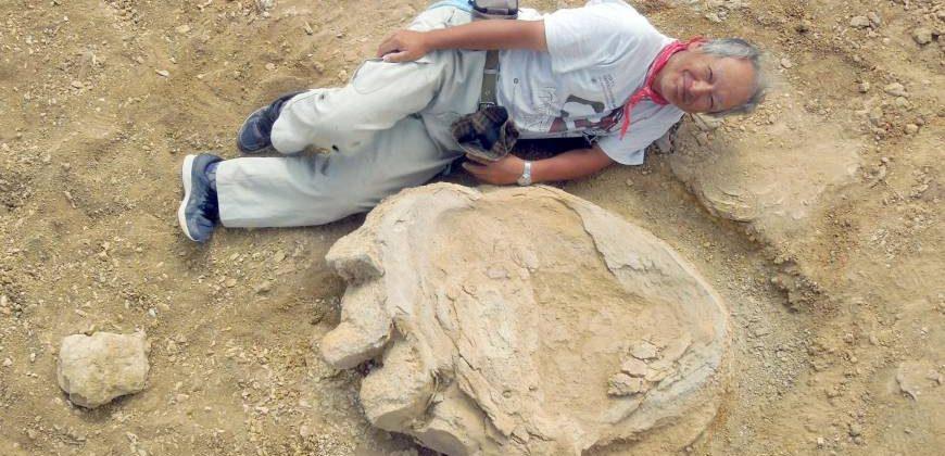 fossilized dinosaur footprints