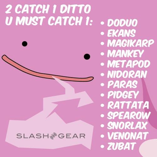 Ditto Chart Pokemon Go