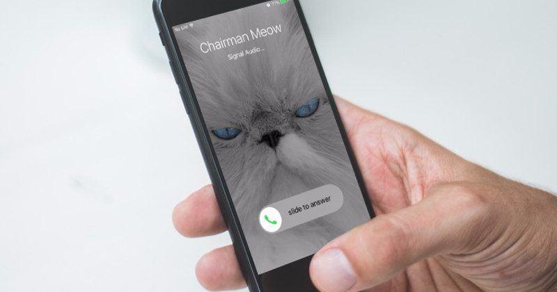 Signal encrypted chat app adds video calls, iOS users beware