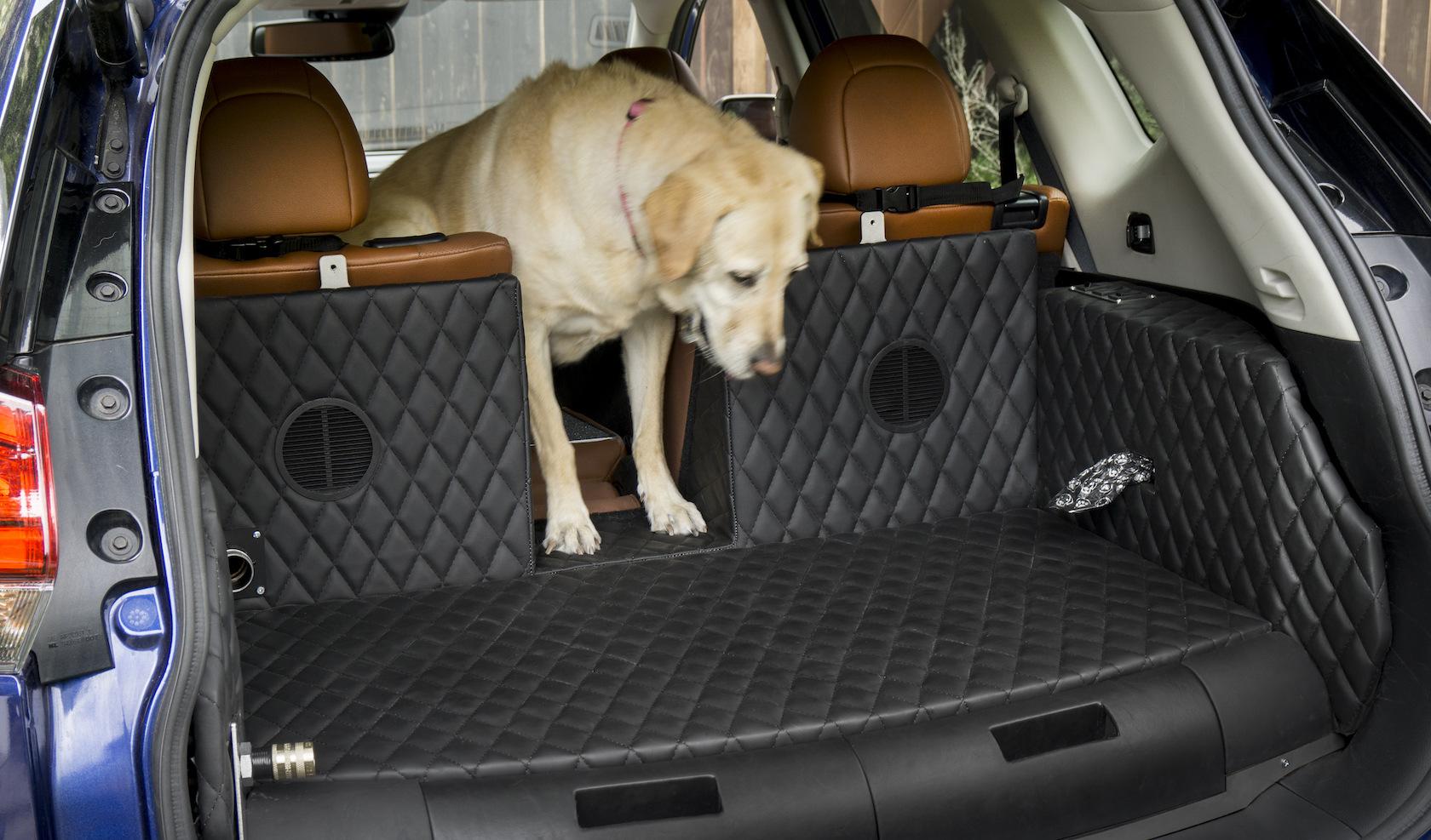Nissan's Rogue Dogue puts your pup in pole position - SlashGear