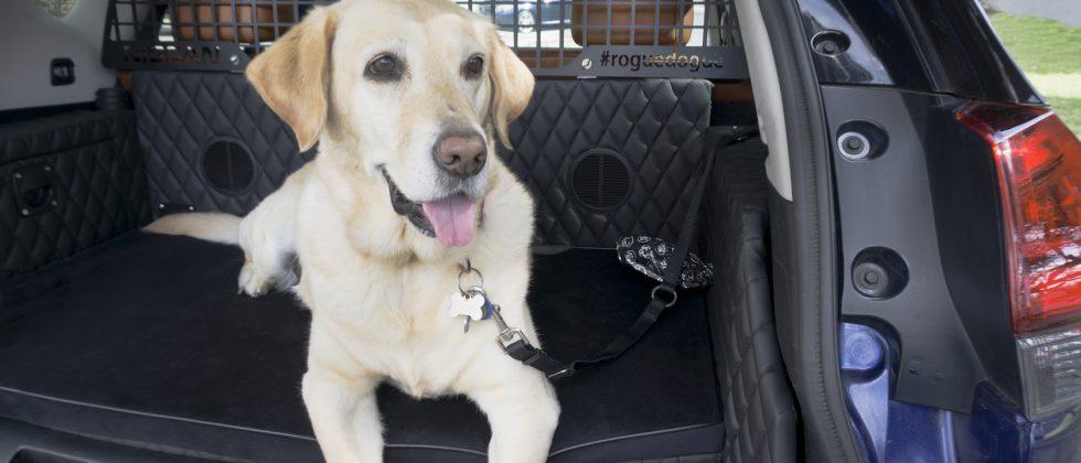 Nissan’s Rogue Dogue puts your pup in pole position
