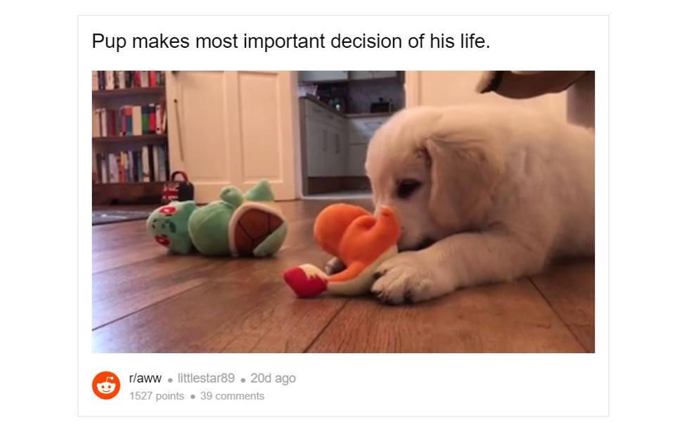 Reddit to embed videos on any topic under the sun or beyond