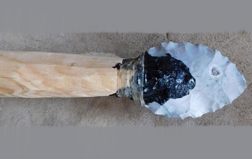 This is how Neanderthals made glue from tree bark SlashGear