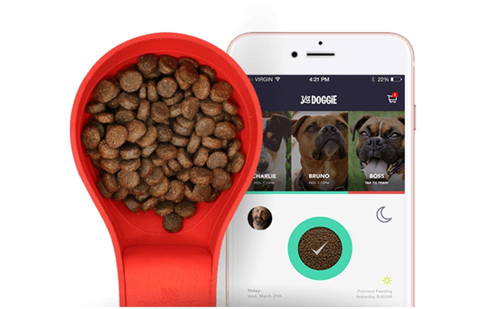 Ya Doggie smart food scoop tracks when your dog eats
