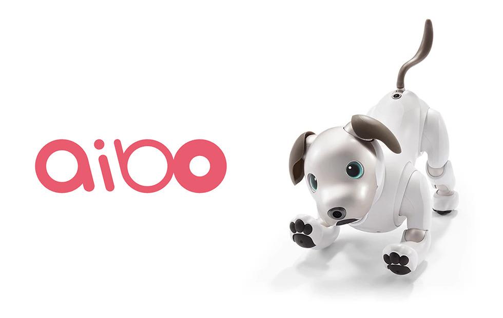 robot that looks like a dog