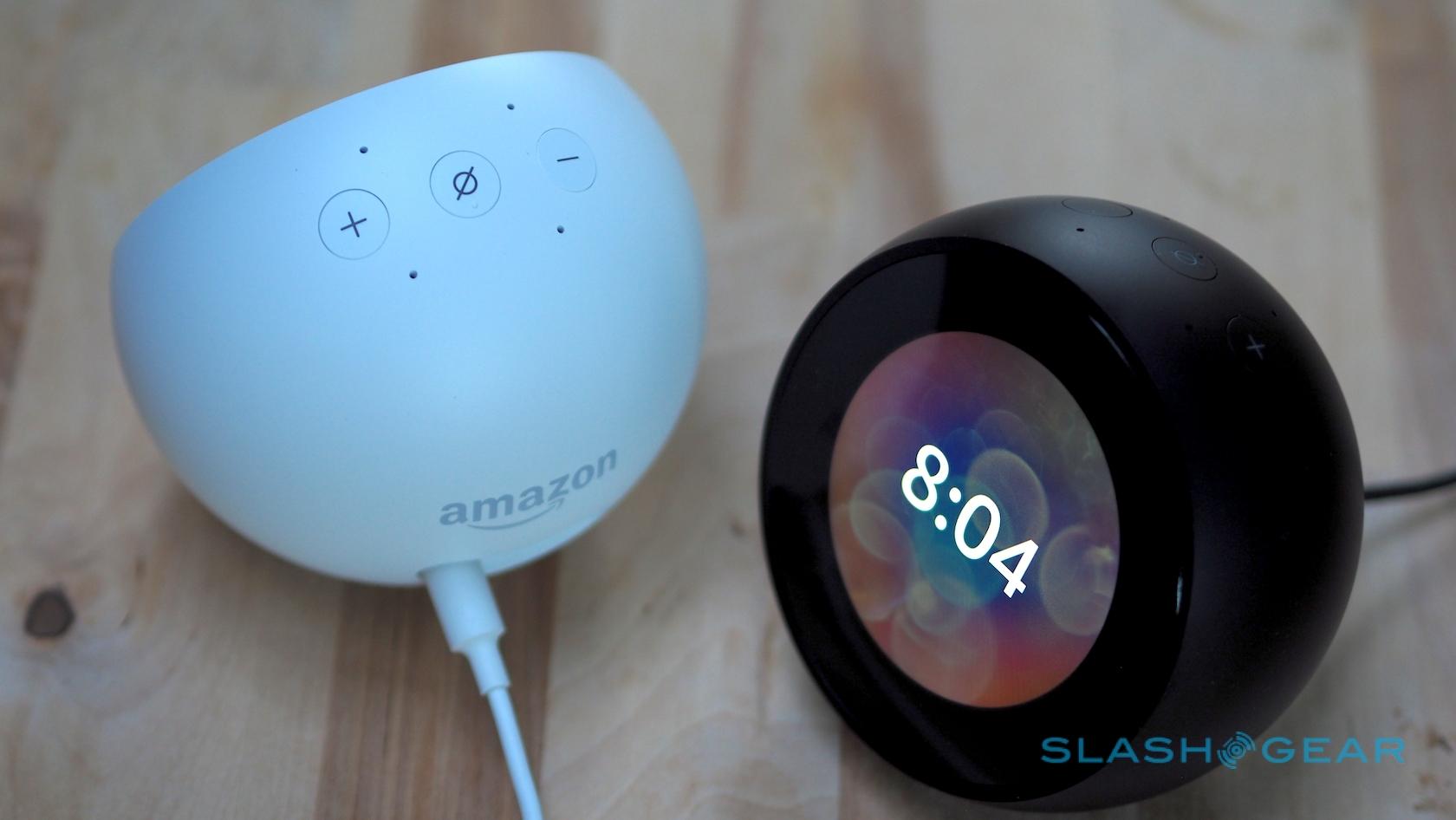 amazon echo spot uses