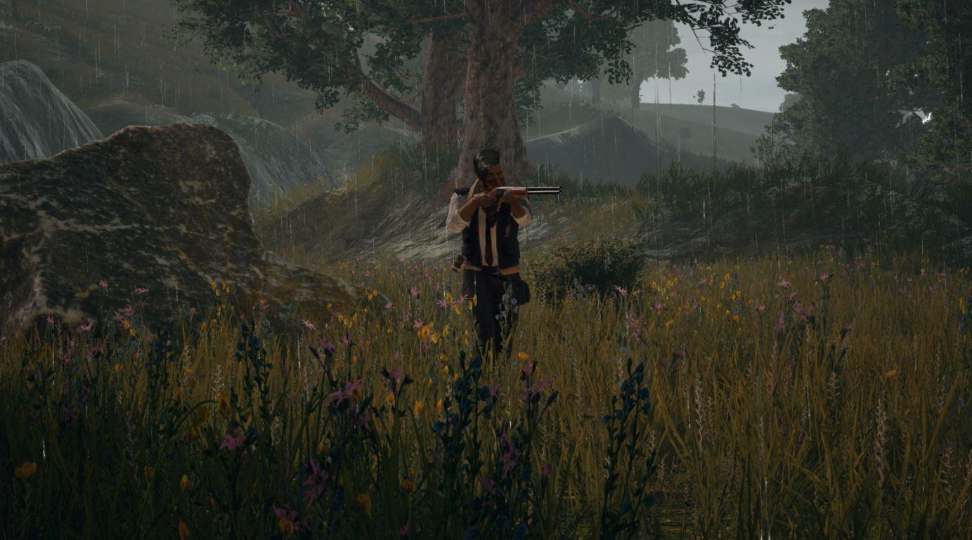 pubg sony ps4