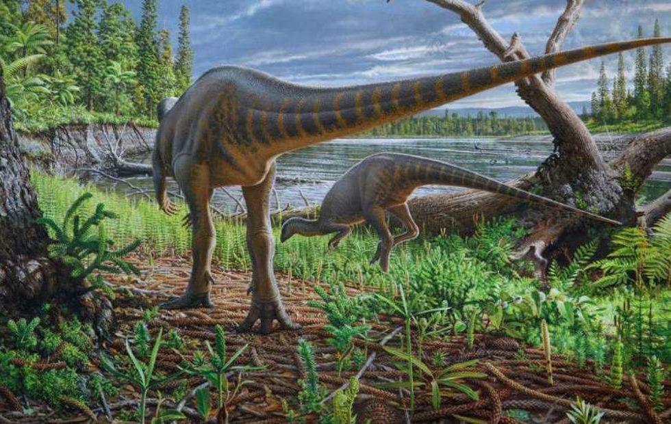 dino deals australia