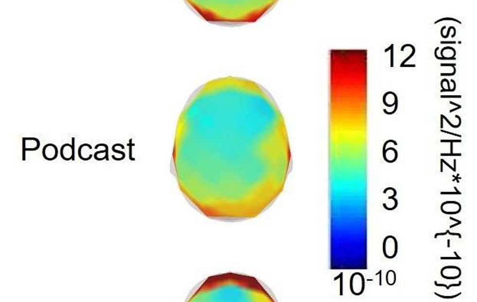 brain eeg