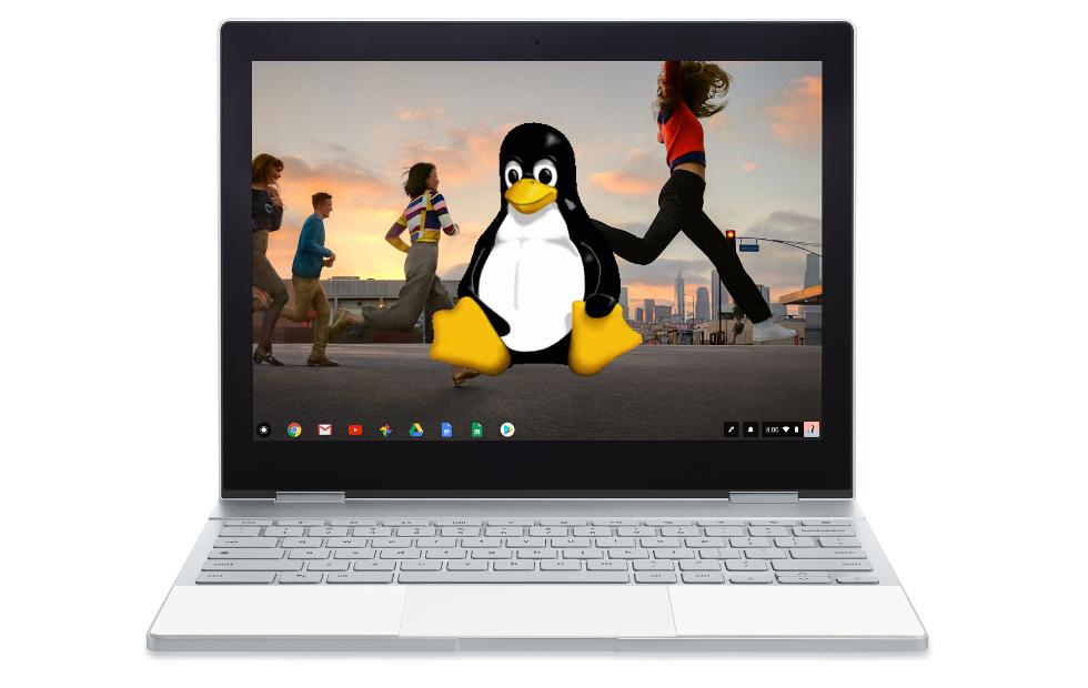 replacing chrome os with linux replacing chrome os with linux