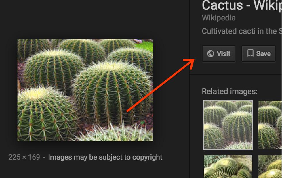 Google removes View Image from results, part of Getty settlement