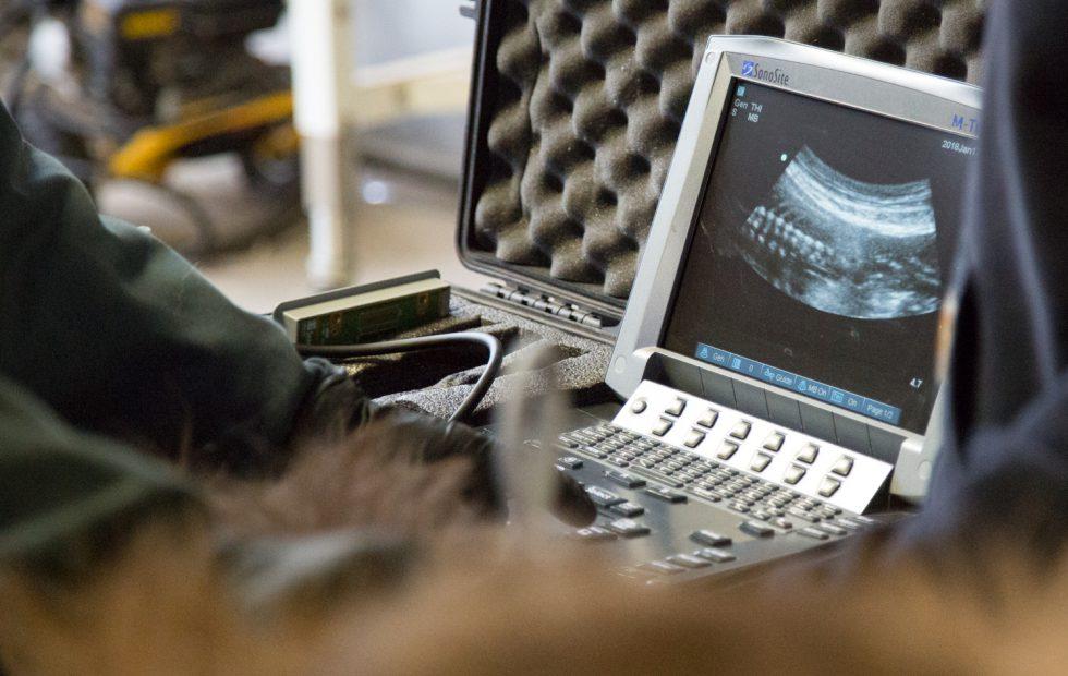 A simple pregnancy blood test could help warn of preterm babies SlashGear