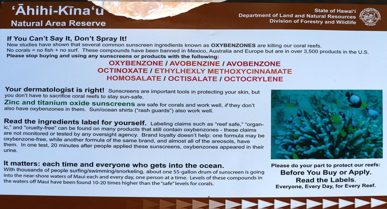 Sunscreens that kill coral Hawaii's chemban now law SlashGear