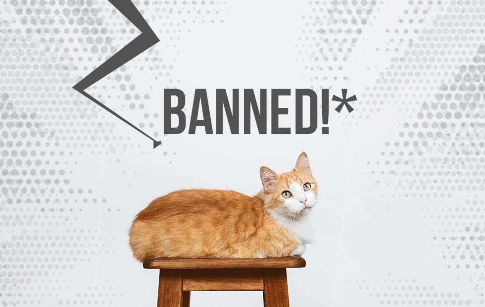 These New Zealand towns may soon ban cats SlashGear