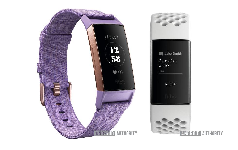 fitbit leak
