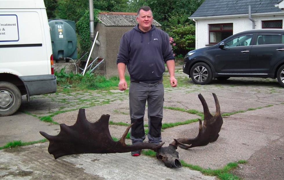 10,500-year-old extinct Great Irish Elk skull and antlers found in lake