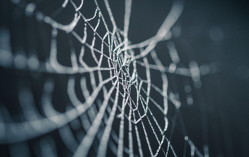 Massive 1,000ft spider web appeared overnight in Greece