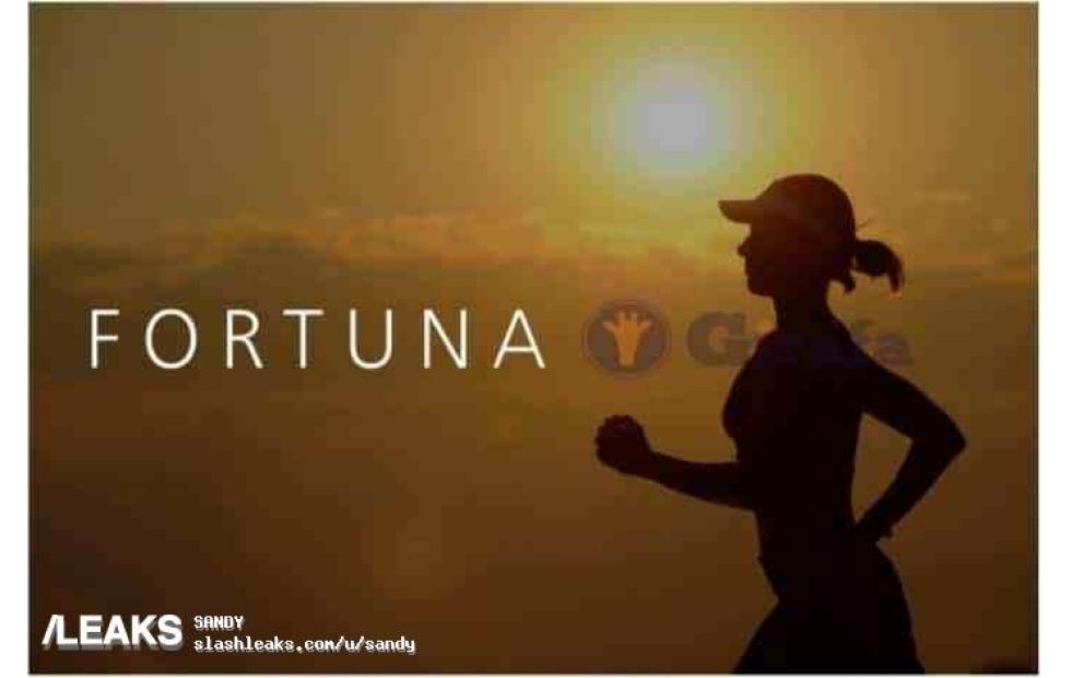 huawei smartwatch fortuna
