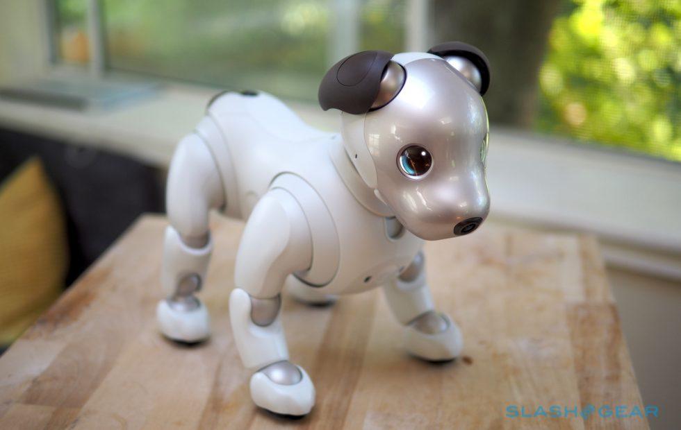 sony aibo 2018