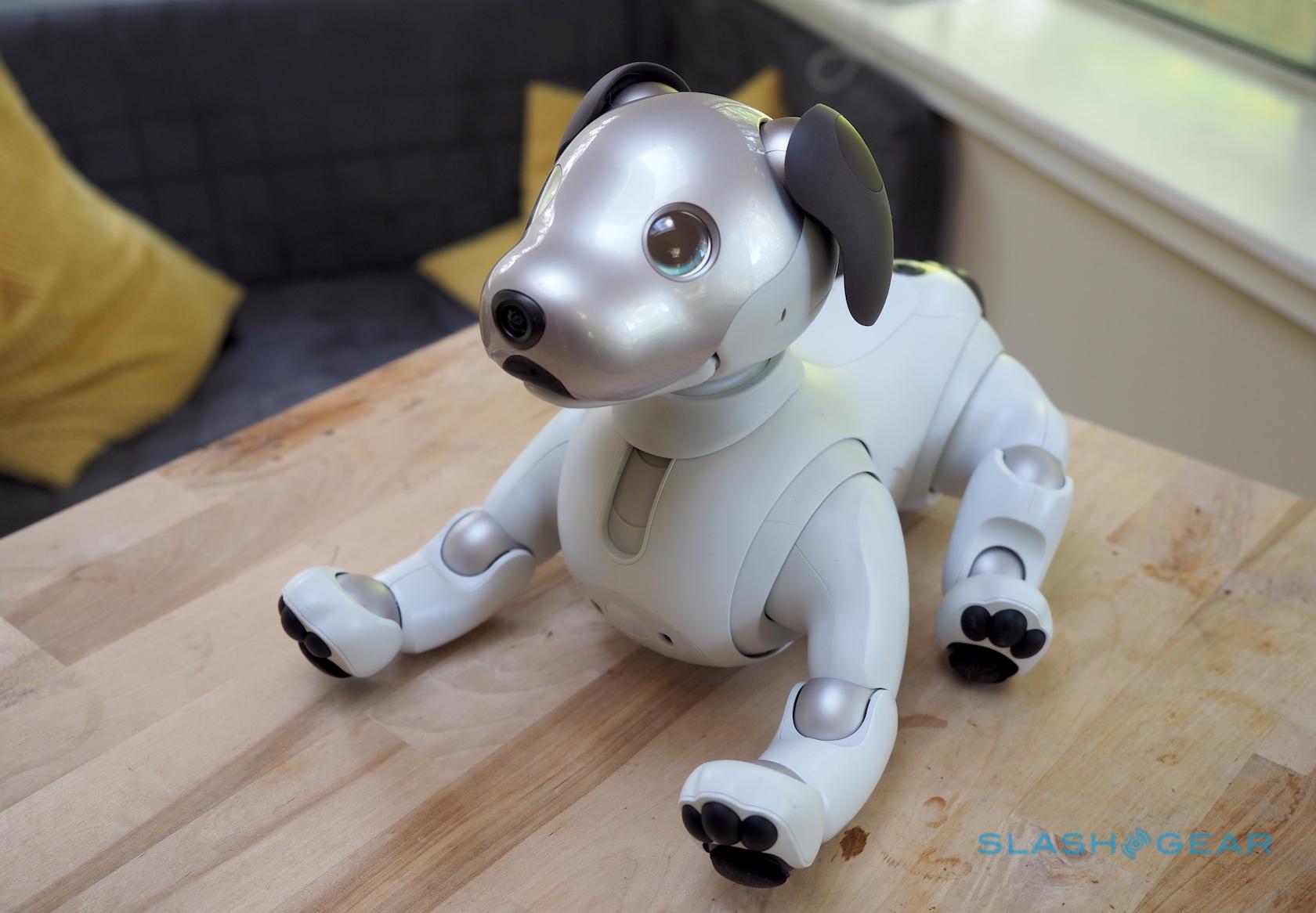 robotic puppy looks real