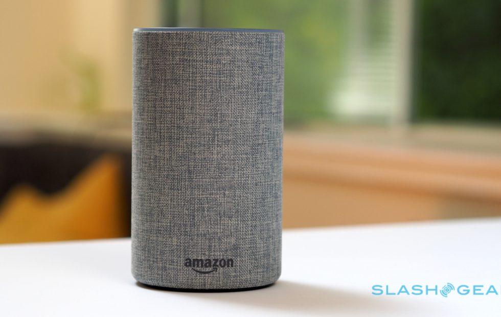 microsoft amazon echo