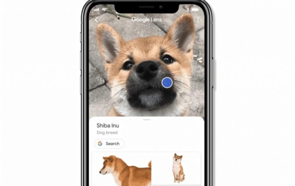 Google Lens in iOS Search app makes it easier to see