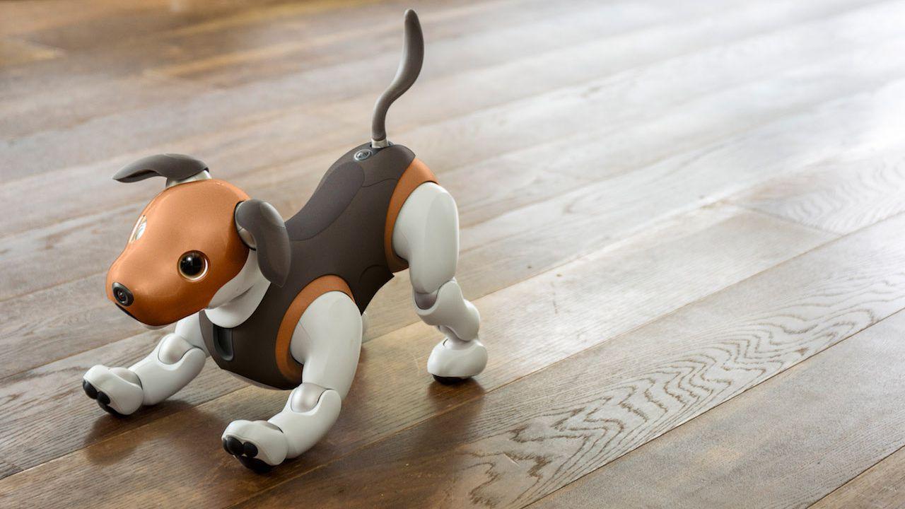 my aibo