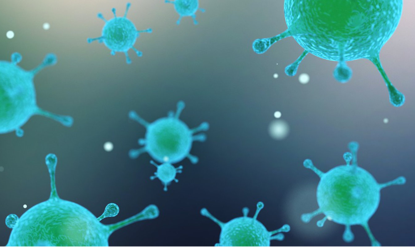 Nearly 2,000 previously unknown human gut bacteria species identified