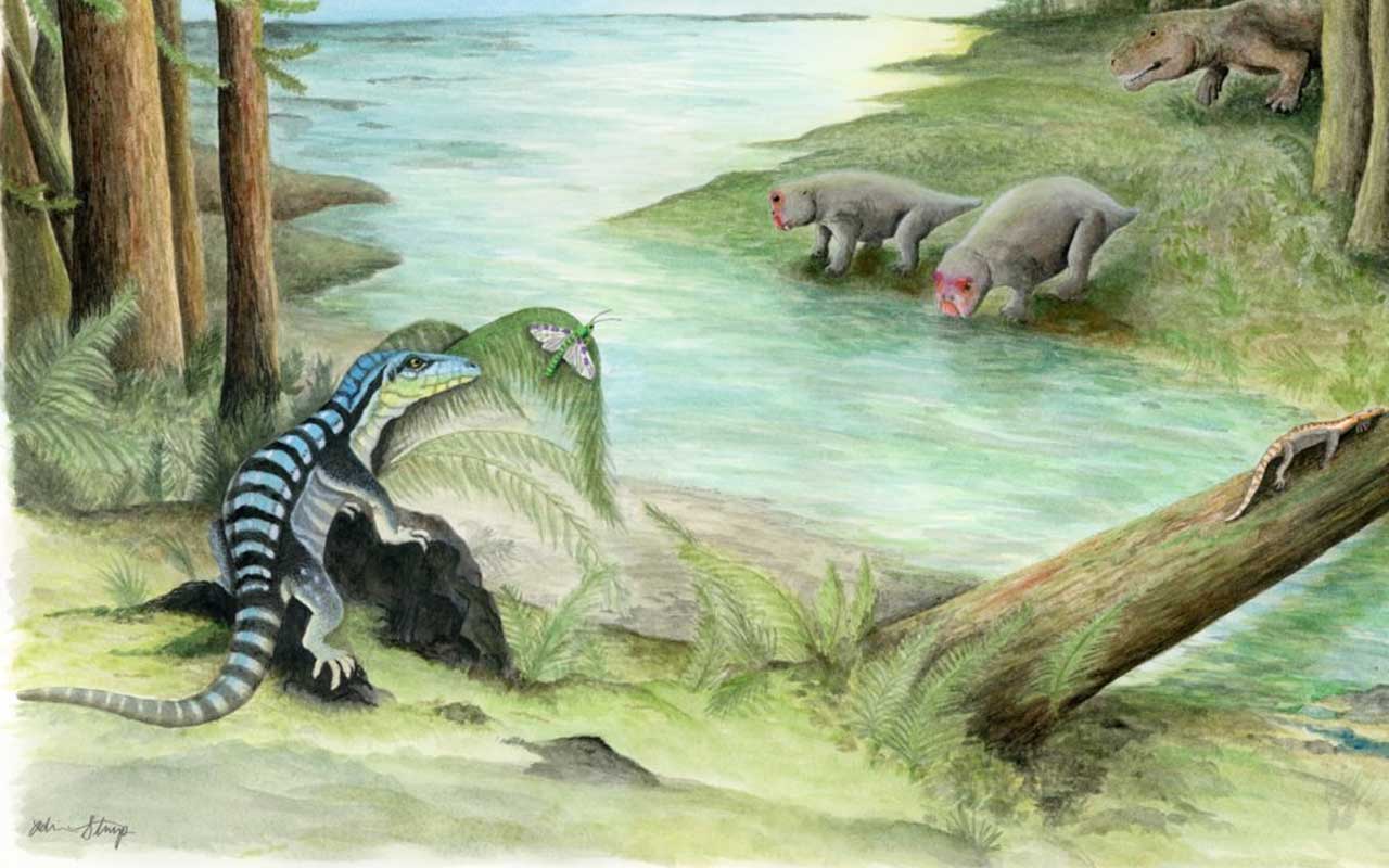 newly discovered dinosaur 2021