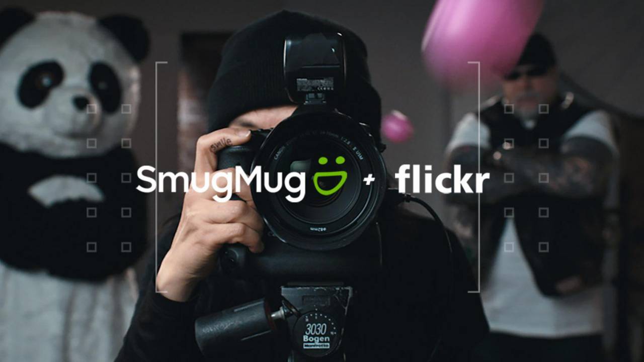 Flickr Deleting Photos Starting Tomorrow How To Prepare Slashgear Flickr Deleting Photos Starting Tomorrow How To Prepare Slashgear