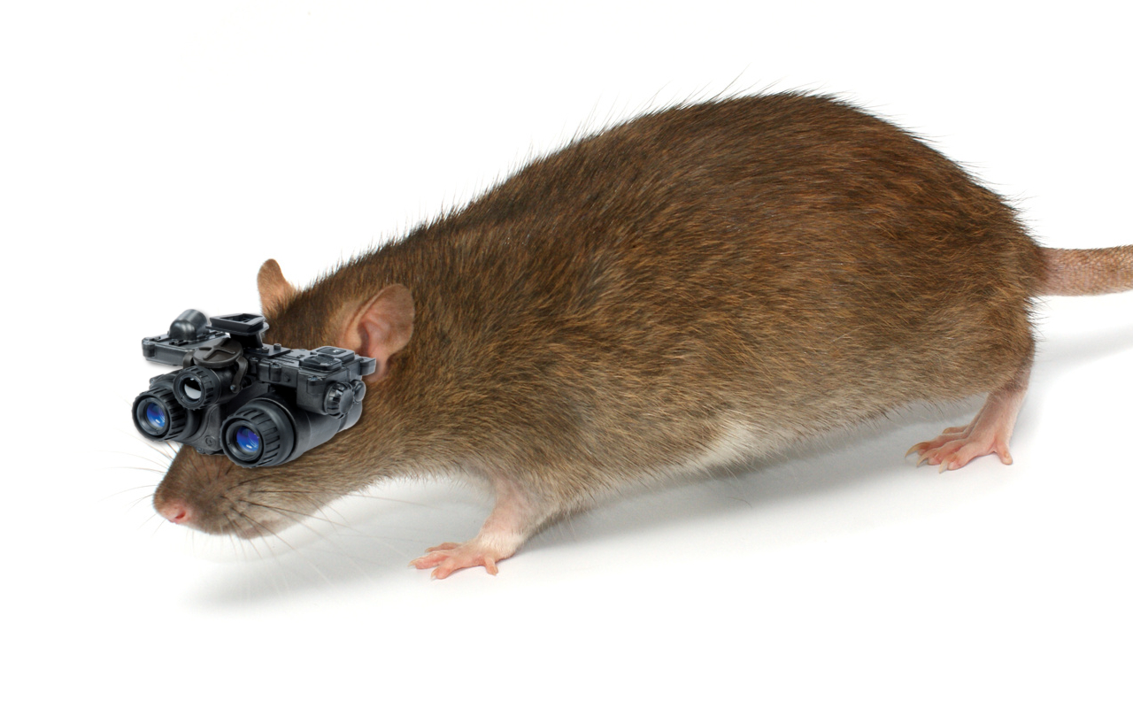 Night vision eyedrops open door to infrared eyesight SlashGear