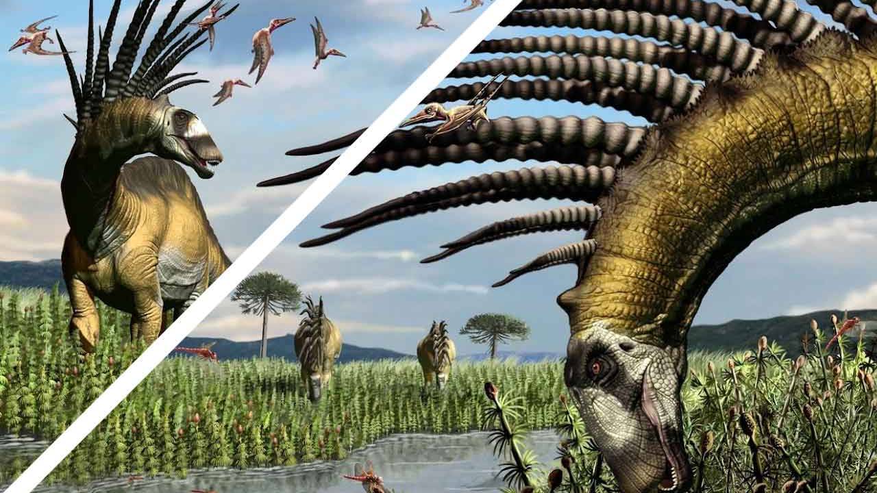 know about dinosaurs