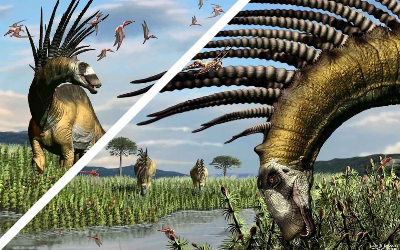 dinosaur with lumps on head