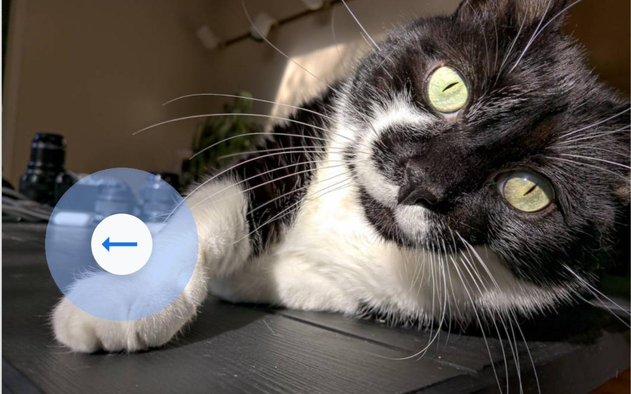 Chrome on Android's history navigation gestures simplify onehand use