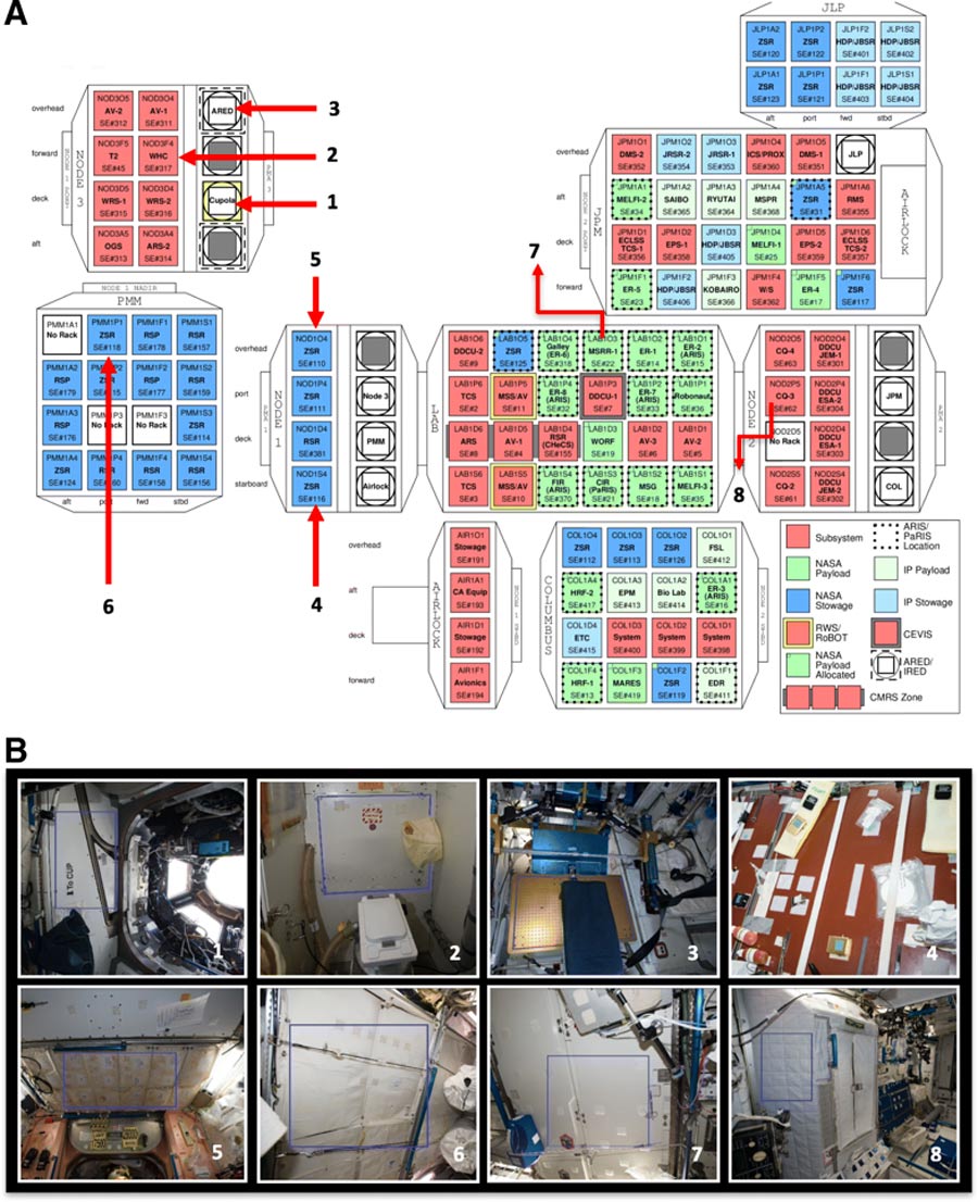 Bugs In Space No The Iss Isn T Brimming With Bacteria Slashgear Bugs In Space No The Iss Isn T Brimming With Bacteria Slashgear