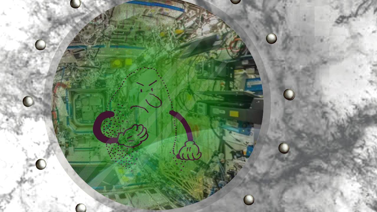 Bugs In Space No The Iss Isn T Brimming With Bacteria Slashgear Bugs In Space No The Iss Isn T Brimming With Bacteria Slashgear