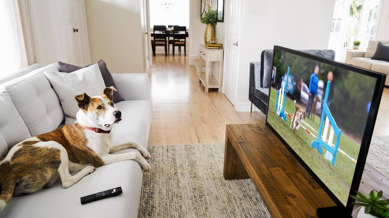 Caavo Control Center gains Sonos integration, mobile remote control
