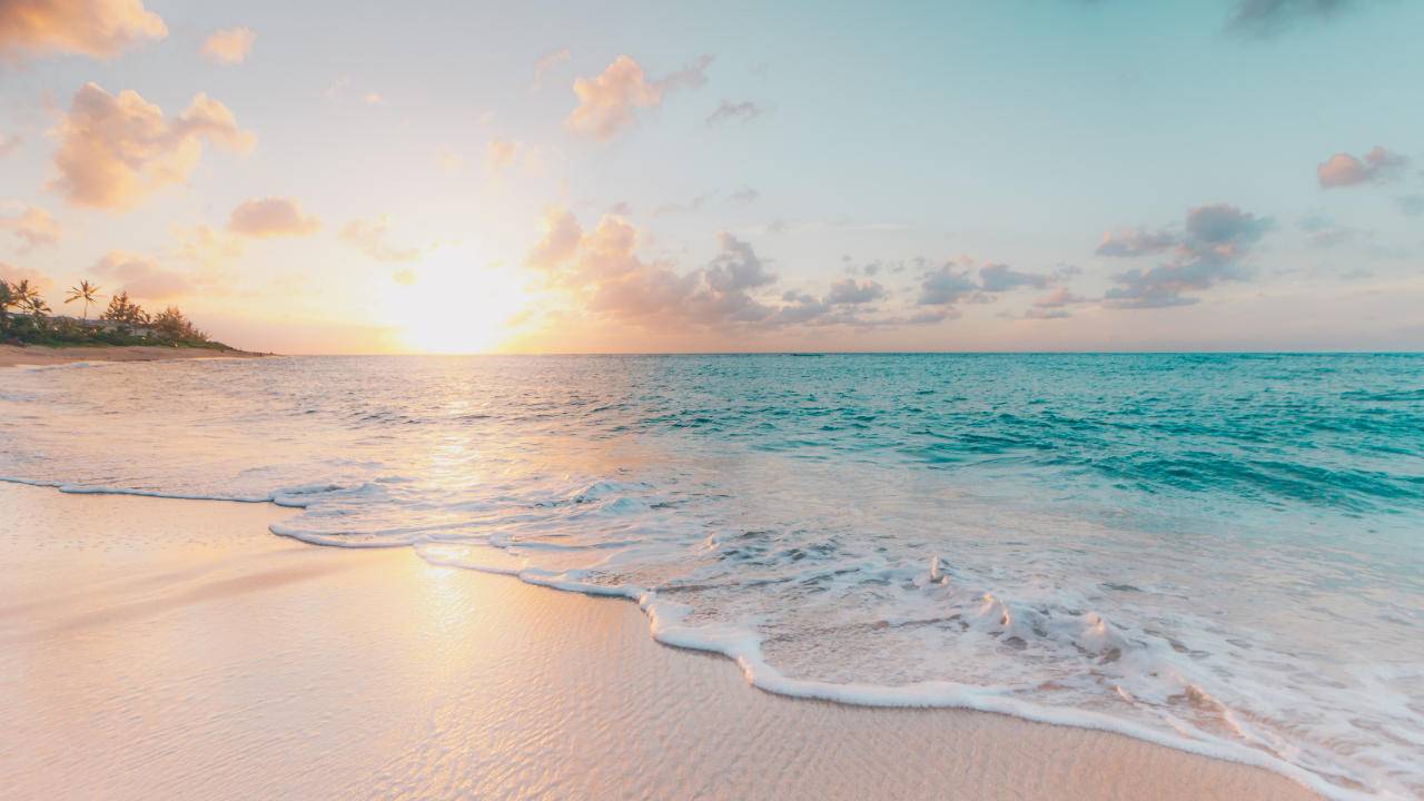 Hawaii warns tourists about parasite that can infest human brains